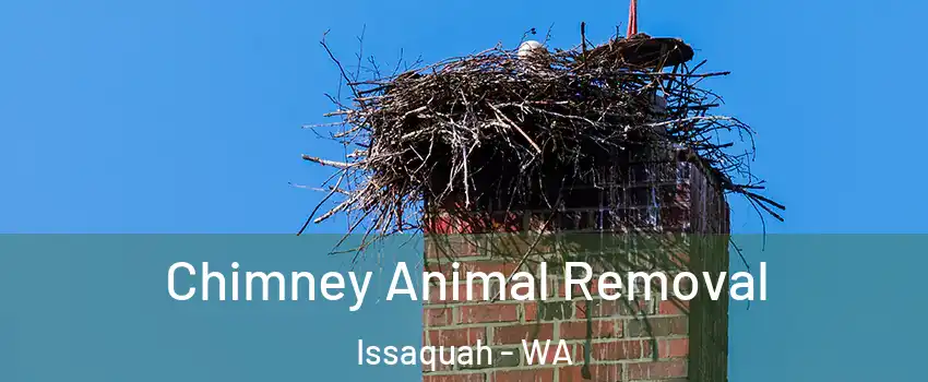 Chimney Animal Removal Issaquah - WA