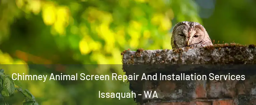  Chimney Animal Screen Repair And Installation Services Issaquah - WA