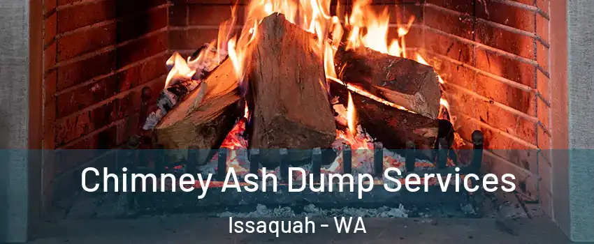 Chimney Ash Dump Services Issaquah - WA
