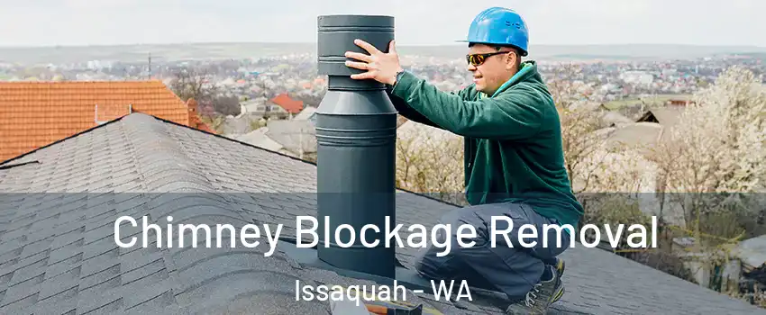  Chimney Blockage Removal Issaquah - WA