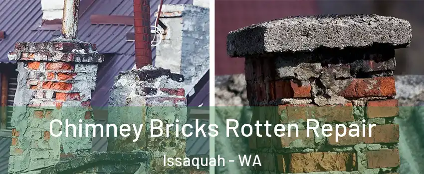  Chimney Bricks Rotten Repair Issaquah - WA