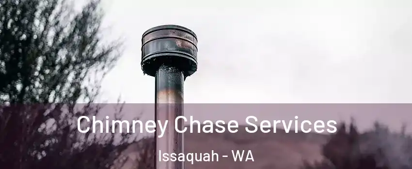  Chimney Chase Services Issaquah - WA