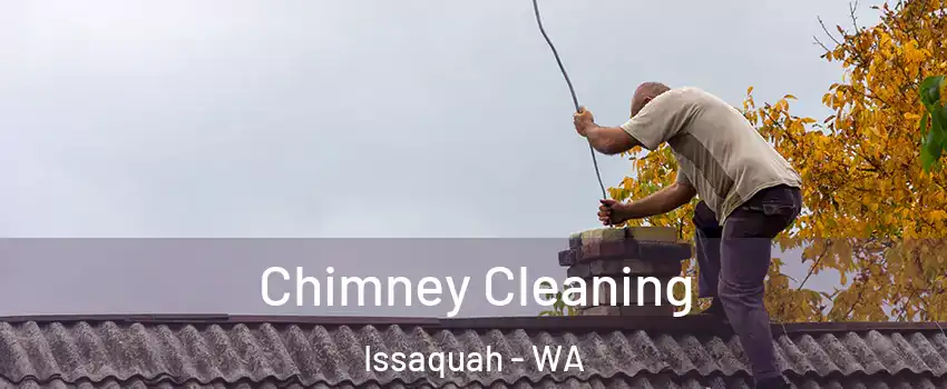  Chimney Cleaning Issaquah - WA