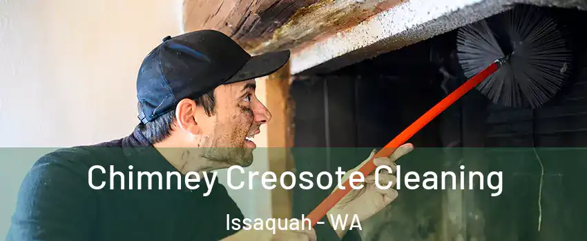  Chimney Creosote Cleaning Issaquah - WA