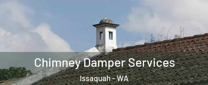 Chimney Damper Services Issaquah - WA
