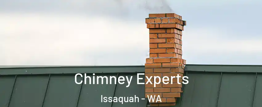  Chimney Experts Issaquah - WA