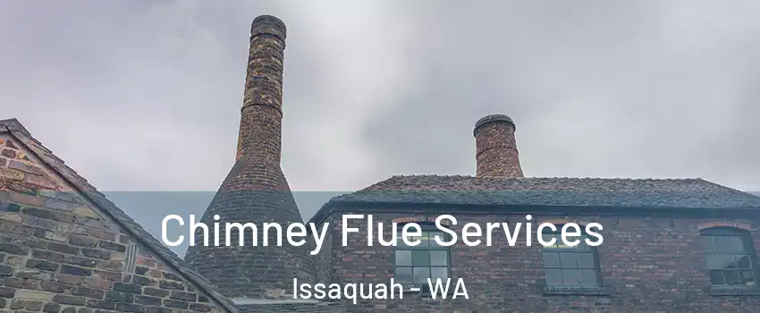  Chimney Flue Services Issaquah - WA