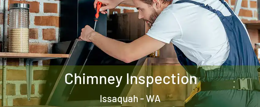  Chimney Inspection Issaquah - WA