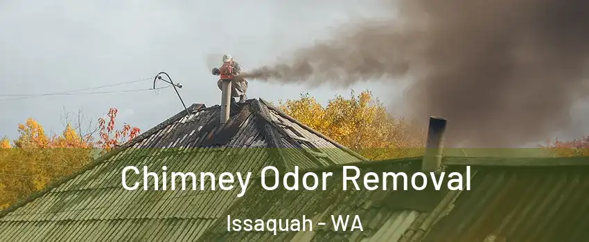  Chimney Odor Removal Issaquah - WA