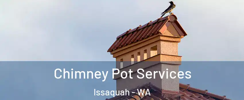  Chimney Pot Services Issaquah - WA