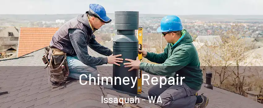  Chimney Repair Issaquah - WA