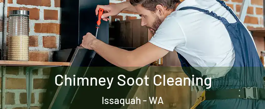  Chimney Soot Cleaning Issaquah - WA