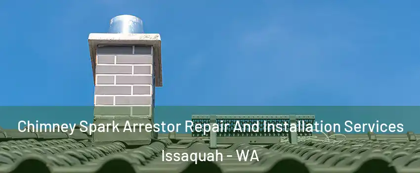  Chimney Spark Arrestor Repair And Installation Services Issaquah - WA