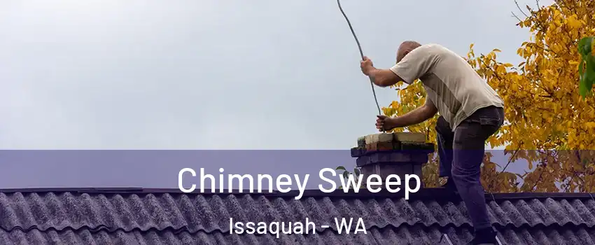  Chimney Sweep Issaquah - WA