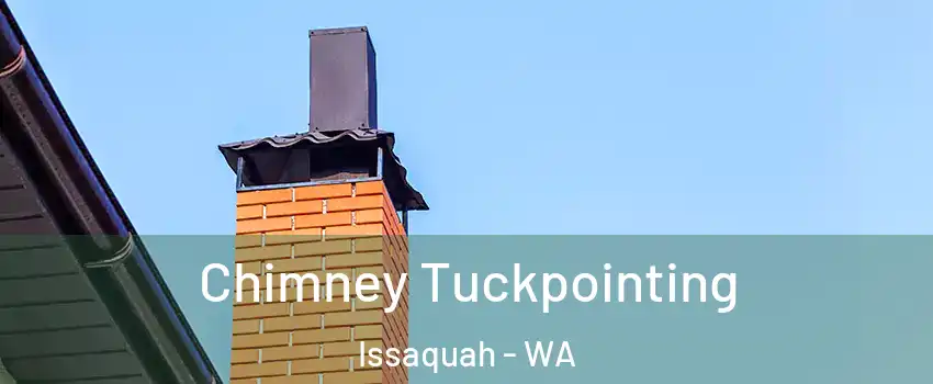  Chimney Tuckpointing Issaquah - WA
