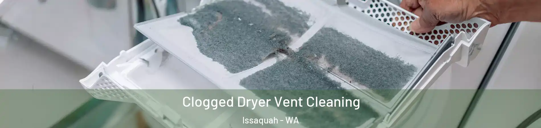  Clogged Dryer Vent Cleaning Issaquah - WA