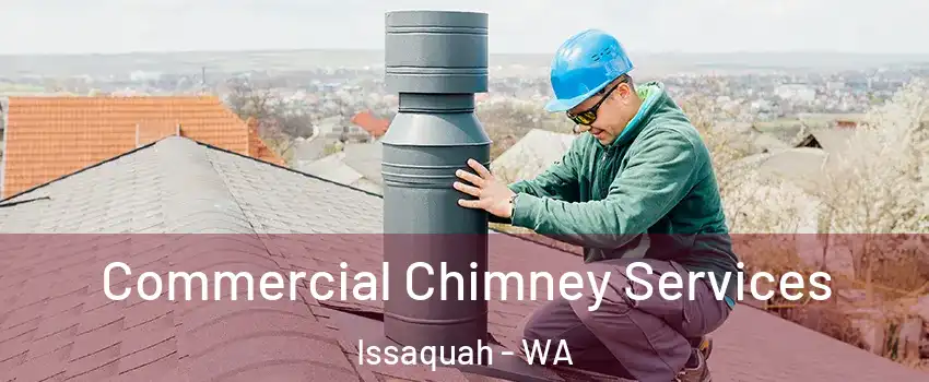 Commercial Chimney Services Issaquah - WA