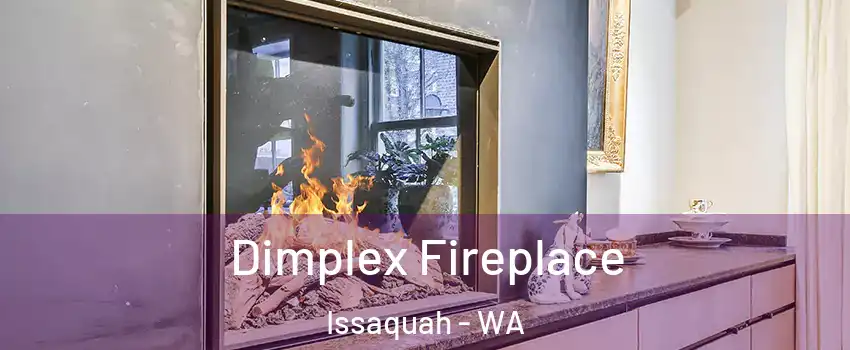  Dimplex Fireplace Issaquah - WA