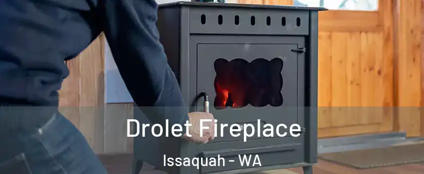  Drolet Fireplace Issaquah - WA