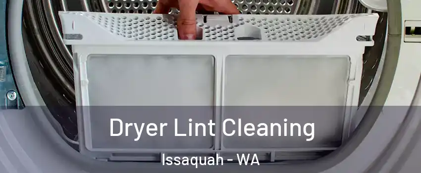  Dryer Lint Cleaning Issaquah - WA
