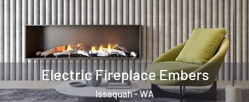  Electric Fireplace Embers Issaquah - WA
