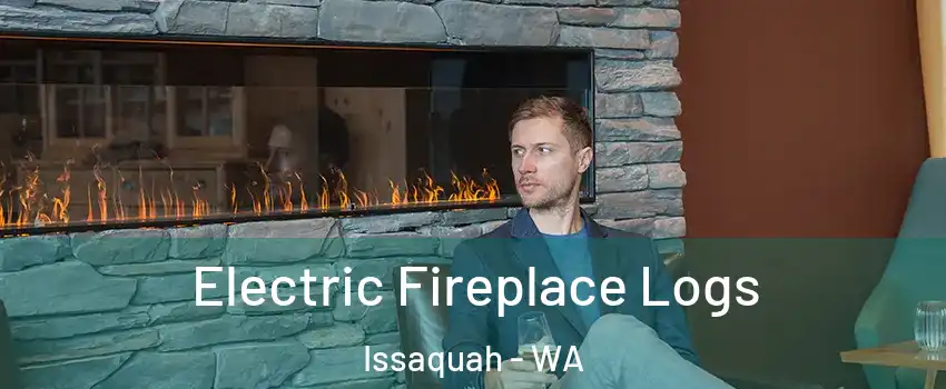  Electric Fireplace Logs Issaquah - WA