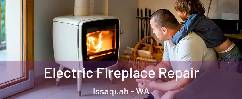  Electric Fireplace Repair Issaquah - WA