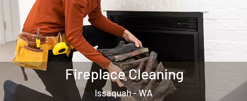  Fireplace Cleaning Issaquah - WA
