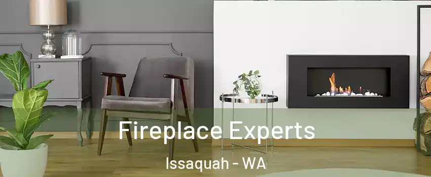  Fireplace Experts Issaquah - WA