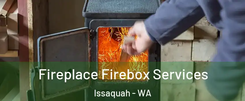  Fireplace Firebox Services Issaquah - WA