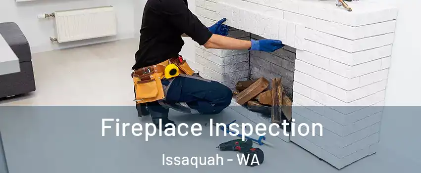  Fireplace Inspection Issaquah - WA
