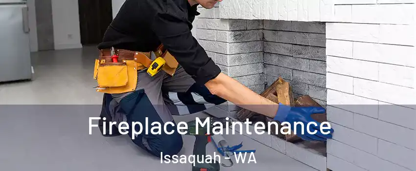 Fireplace Maintenance Issaquah - WA