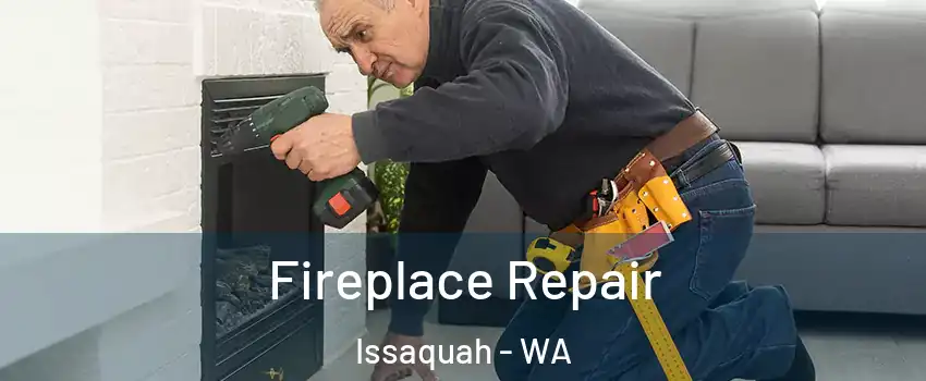  Fireplace Repair Issaquah - WA