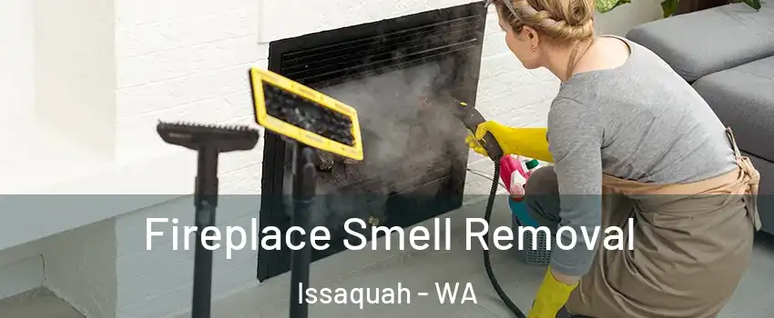  Fireplace Smell Removal Issaquah - WA