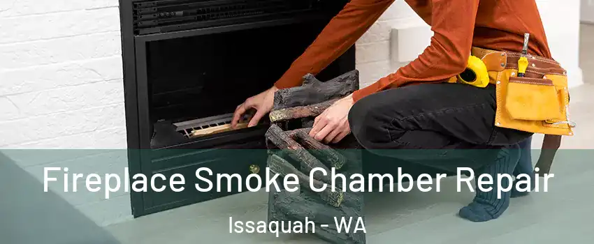  Fireplace Smoke Chamber Repair Issaquah - WA