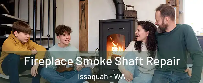  Fireplace Smoke Shaft Repair Issaquah - WA