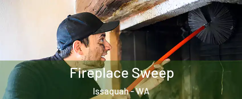  Fireplace Sweep Issaquah - WA