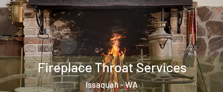  Fireplace Throat Services Issaquah - WA
