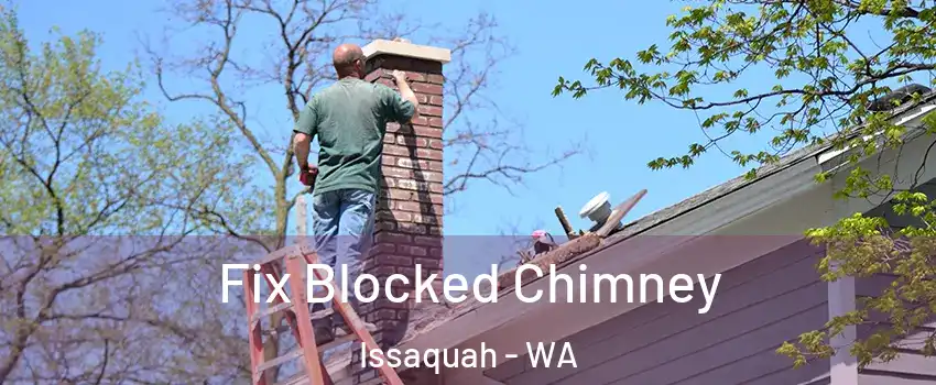  Fix Blocked Chimney Issaquah - WA