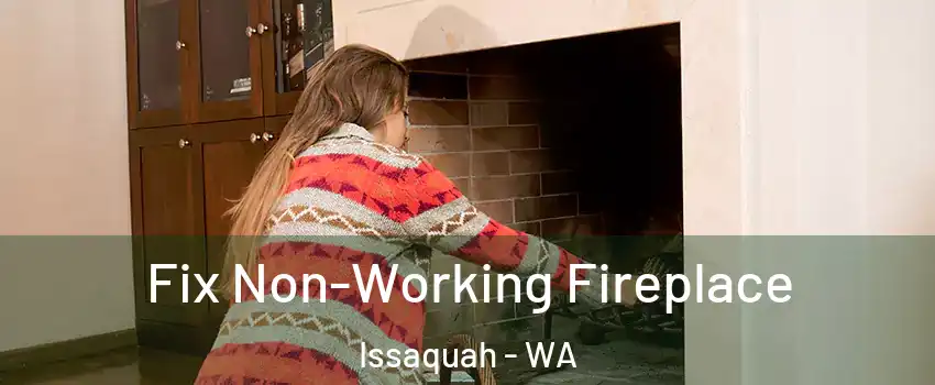  Fix Non-Working Fireplace Issaquah - WA