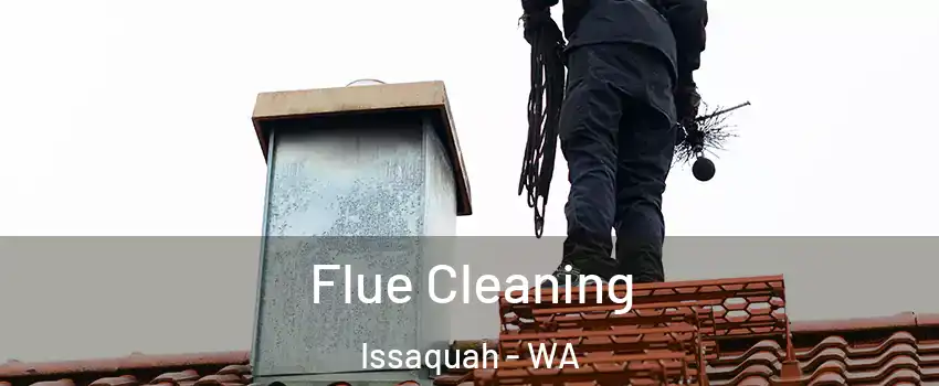  Flue Cleaning Issaquah - WA