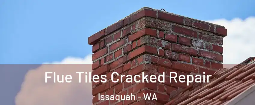  Flue Tiles Cracked Repair Issaquah - WA