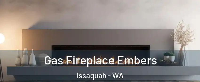  Gas Fireplace Embers Issaquah - WA