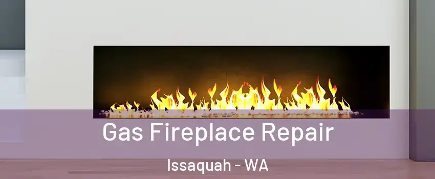  Gas Fireplace Repair Issaquah - WA