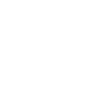Professional Chimney Flue Installation in Issaquah, Washington