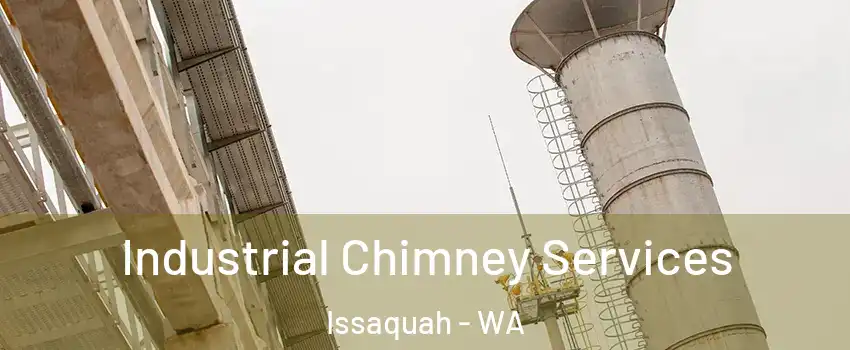  Industrial Chimney Services Issaquah - WA