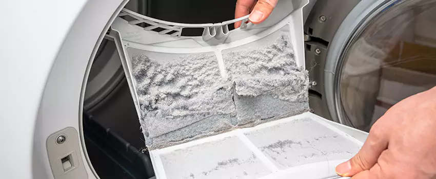 Best Dryer Lint Removal Company in Issaquah, Washington