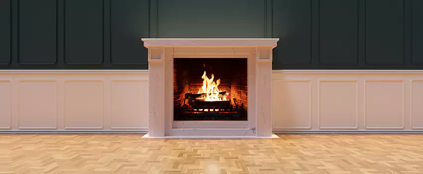 Napoleon Electric Fireplaces Inspection Service in Issaquah, Washington