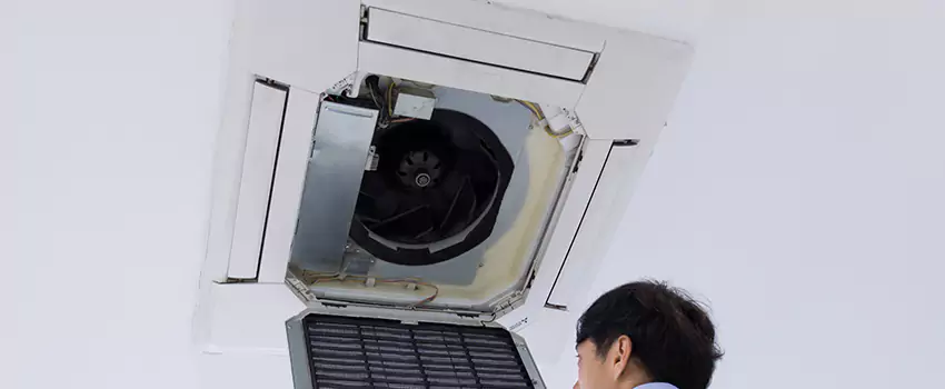 Benefits of Professional Air Duct Cleaning in Issaquah, Washington