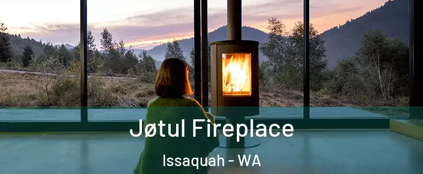  Jøtul Fireplace Issaquah - WA
